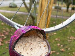 Nachmittags AG "Aus alt mach neu"