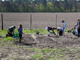 Erste Pflanzaktion im schulgarten bei Sonnenschein