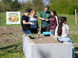 Erste Pflanzaktion im schulgarten bei Sonnenschein
