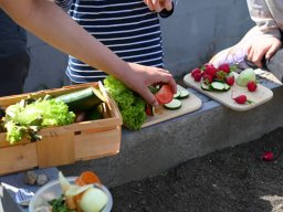 Erste Pflanzaktion im schulgarten bei Sonnenschein