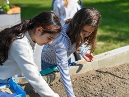 Erste Pflanzaktion im schulgarten bei Sonnenschein