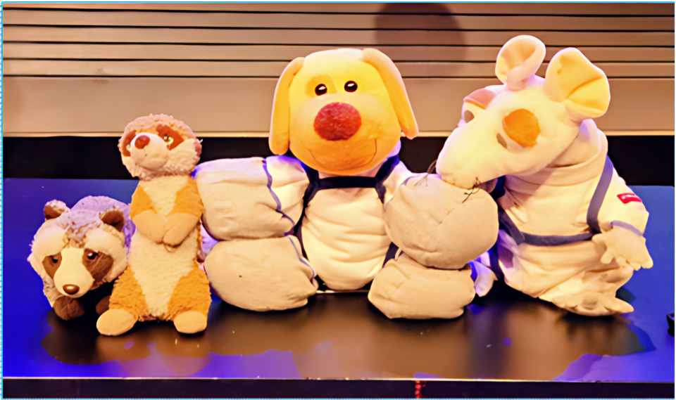 Eine Gruppe von vier Stofftieren. Von links nach rechts sind ein Waschbär und ein Erdmännchen, ein großer, gelber Hund mit roter Nase in einem gepolsterten Astronautenanzug und ganz rechts eine große, cremefarbene Maus-Figur mit großen Ohren, ebenfalls in einem beigen Astronautenanzug mit blauen Streifen. 